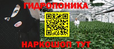 прущие грибы Апрелевка