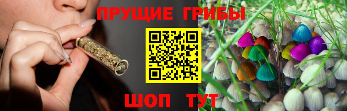 Галлюциногенные грибы Magic Shrooms Ахтубинск